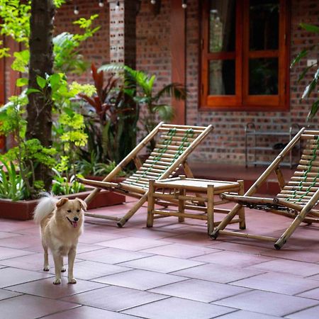 Tam Family Homestay Ninh Binh Buitenkant foto