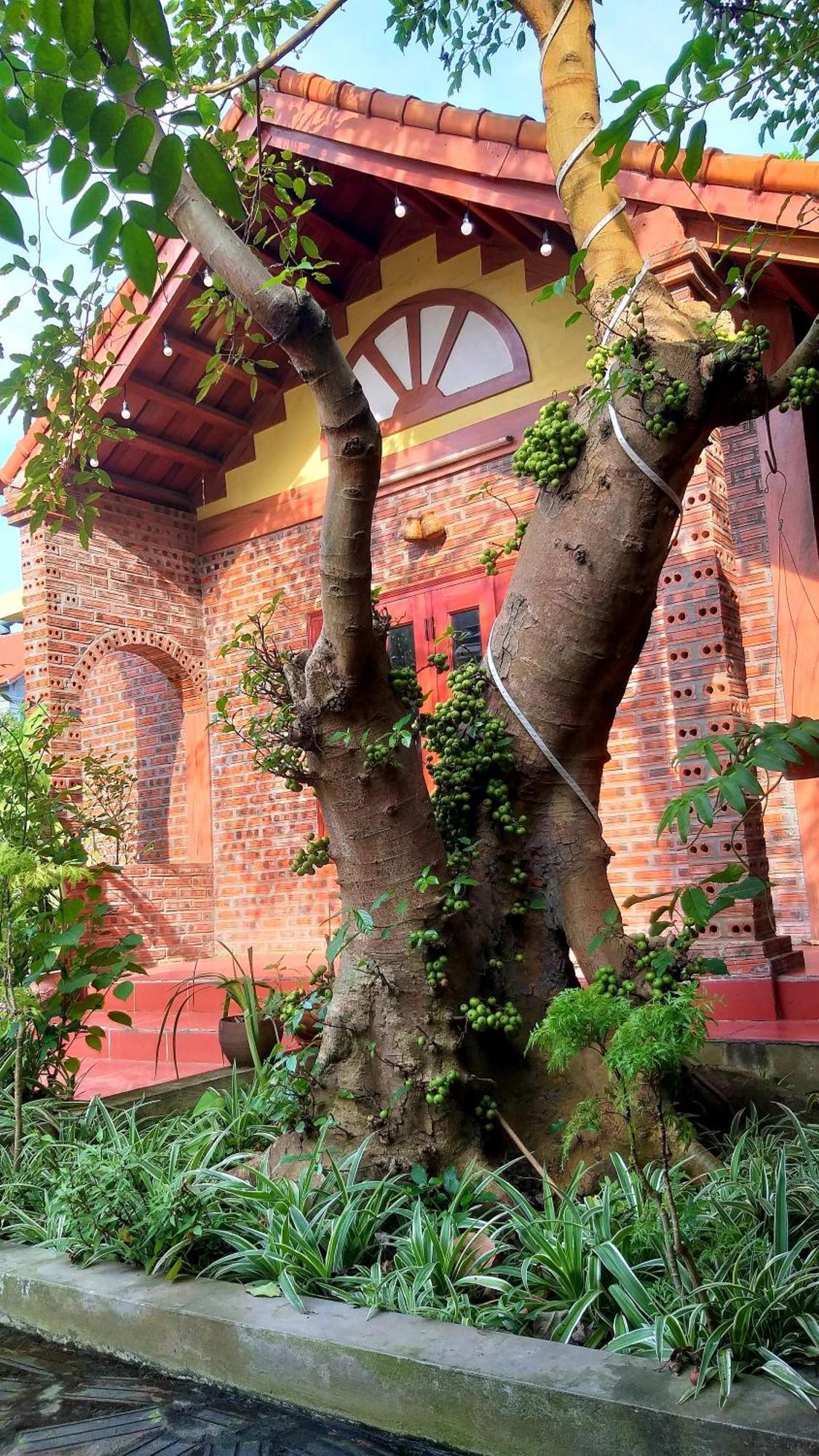 Tam Family Homestay Ninh Binh Buitenkant foto