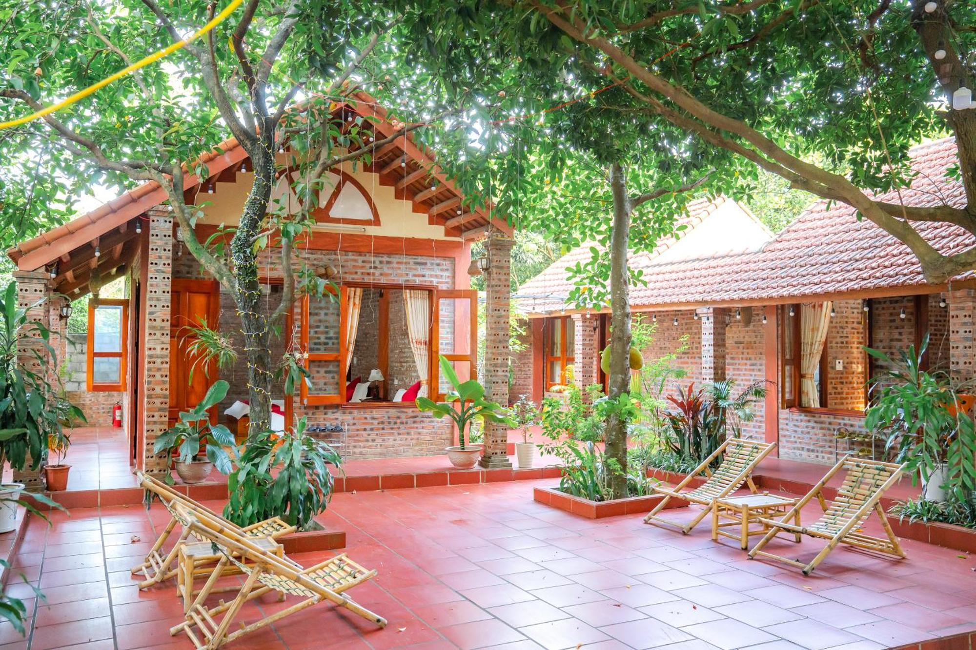 Tam Family Homestay Ninh Binh Buitenkant foto