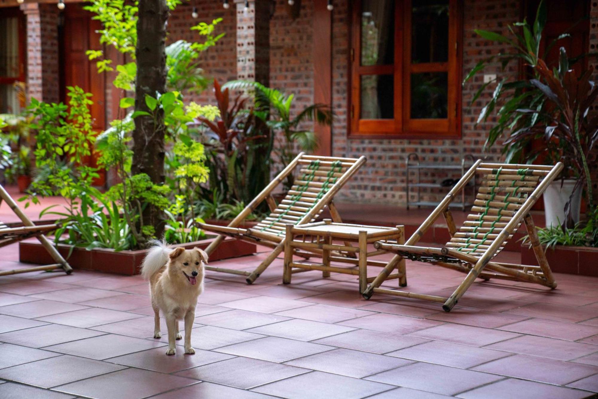 Tam Family Homestay Ninh Binh Buitenkant foto