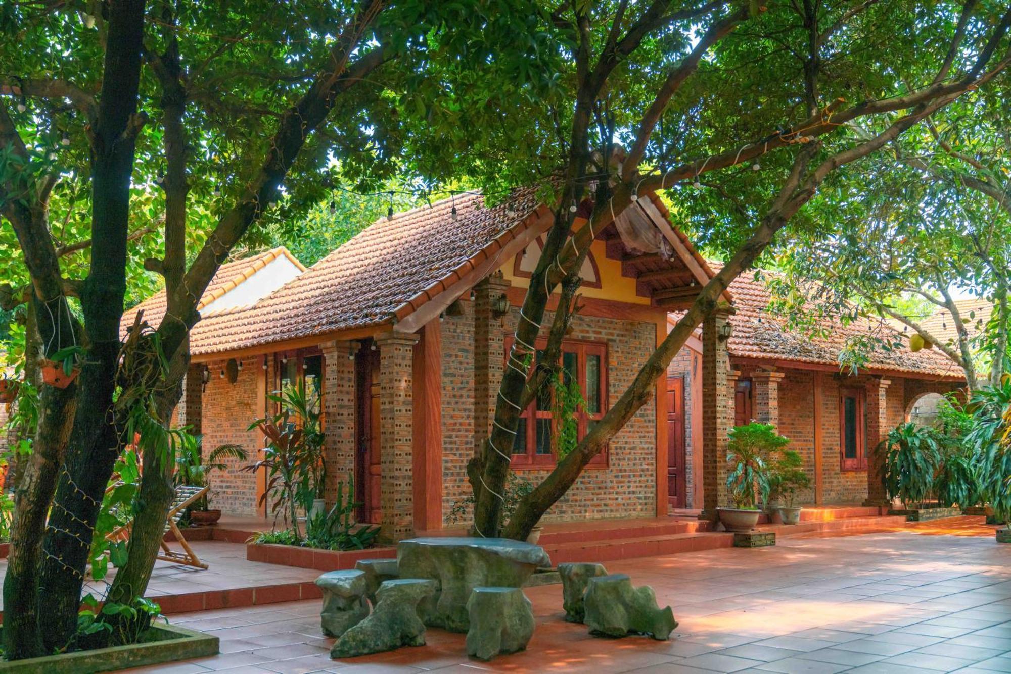 Tam Family Homestay Ninh Binh Buitenkant foto